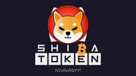 Things-to-know-before-you-buy-Shiba-Inu-coin.jpg