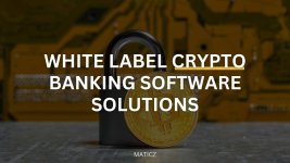 white-label-crypto-bank.jpeg