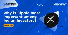 Why is Ripple more important among Indian Investors_.jpg