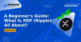 A Beginner's Guide_ What Is XRP (Ripple) All About_.jpg