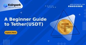 A Beginner Guide to Tether(USDT).jpg