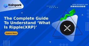 The Complete Guide To Understand ‘What Is Ripple(XRP)’.jpg