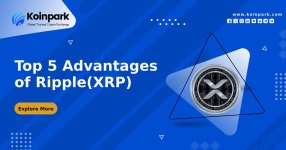 Top 5 Advantages of Ripple(XRP)_.jpg