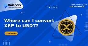 Where can I convert XRP to USDT_.jpg