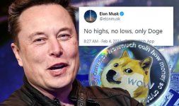 Tesla-chief-executive-Elon-Musk-backs-dogecoin-1393447.jpg