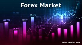 Forex-Market-1.jpg